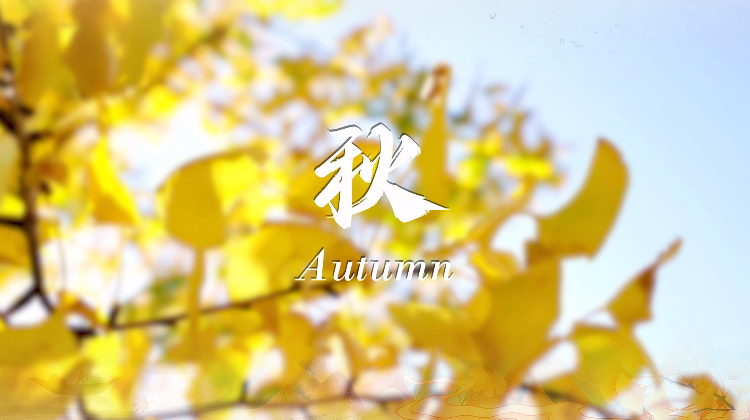 rb88随行版-rb88手机随行版登录入口