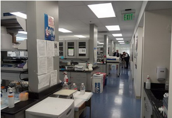 rb88随行版-rb88手机随行版登录入口