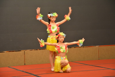 rb88随行版-rb88手机随行版登录入口