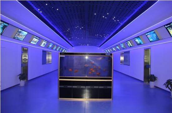 rb88随行版-rb88手机随行版登录入口