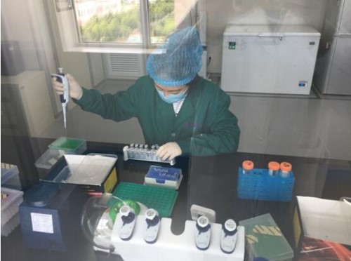 rb88随行版-rb88手机随行版登录入口