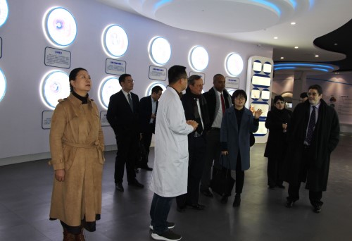 rb88随行版-rb88手机随行版登录入口