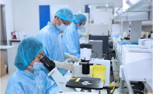 rb88随行版-rb88手机随行版登录入口