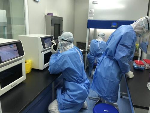 rb88随行版-rb88手机随行版登录入口