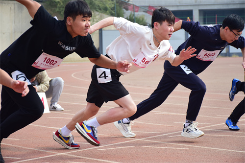 rb88随行版-rb88手机随行版登录入口